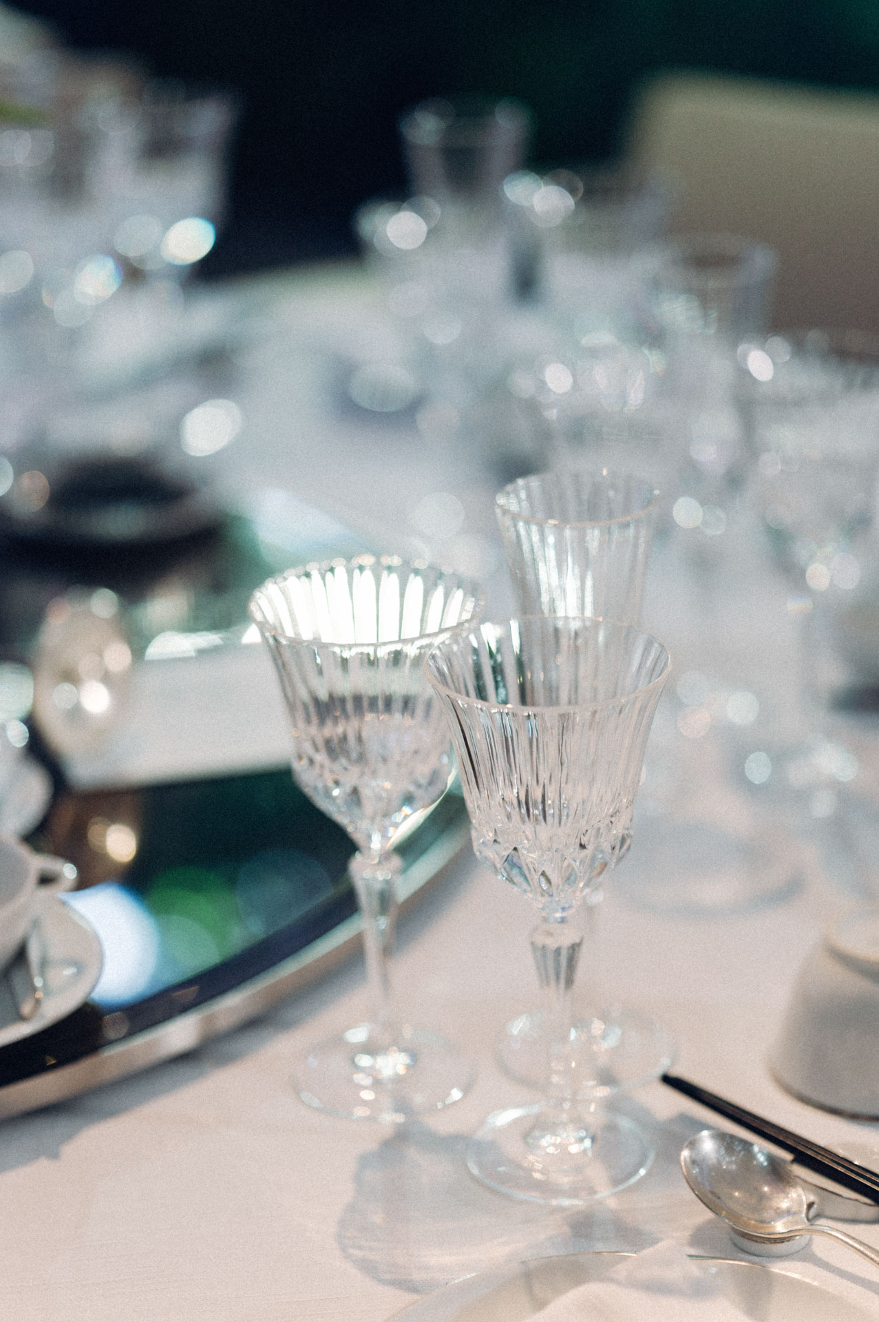 formal (0644 of 1173).jpg